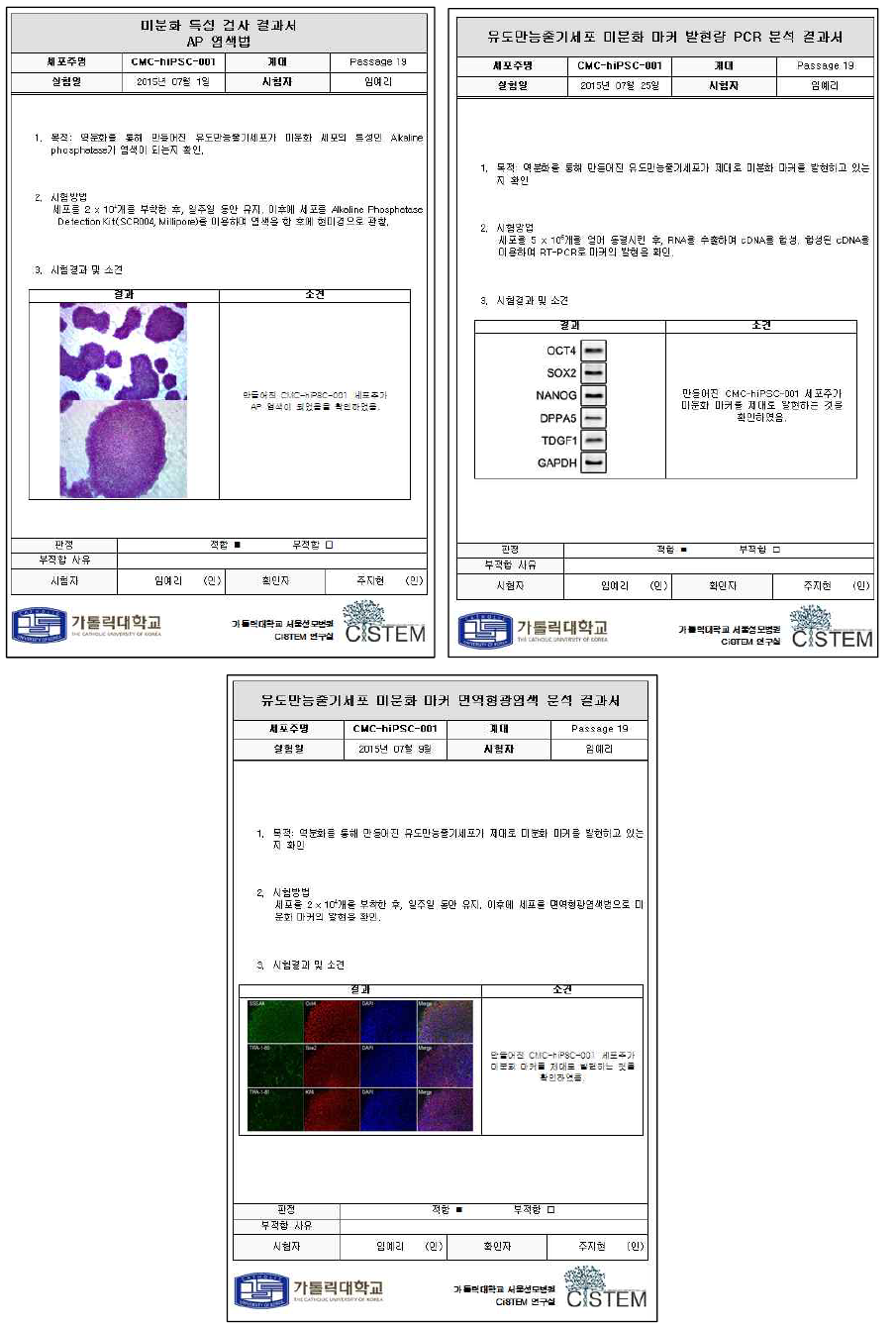 미분화 검사의 시험기록서