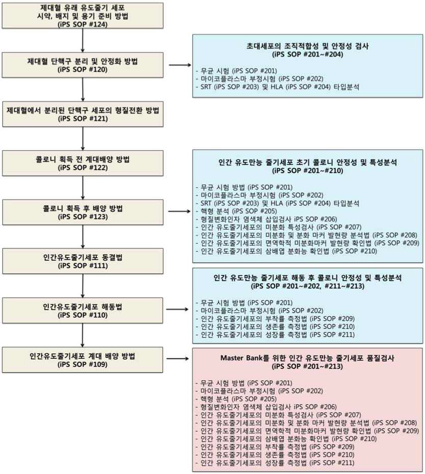 면역적합형 인간유도줄기세포 표준공정 흐름도 및 표준공정문서 연계모식도