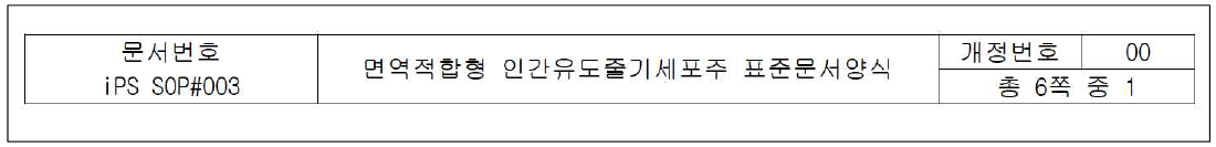 표준공정서 1 페이지 상단부 표기내용