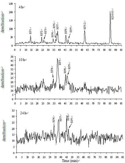 HPLC-Radio Chromatograms of KD101 and its Metabolites in Plasma after Single Oral Administration of 14C-KD101 to Fasted Male Rats