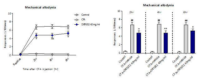 CFA 유도된 염증모델에서 DBT652 40mg/ml 겔 제제 도포 후 anti-mechanical allodynia 효능 평가