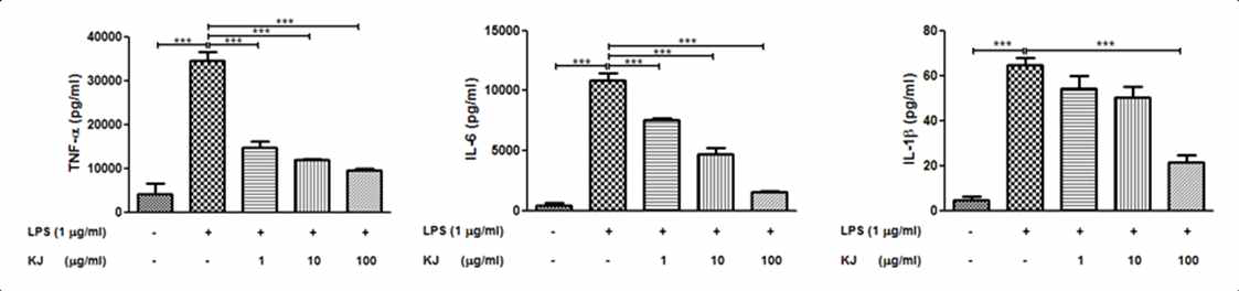 백기생의 염증성 사이토카인 생성 억제 테스트