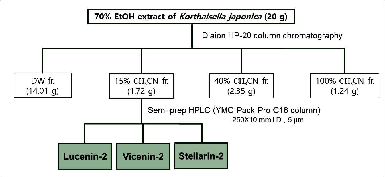 백기생 70% 에탄올 추출물로부터 3종의 flavone di-C-glycosides 분리 과정