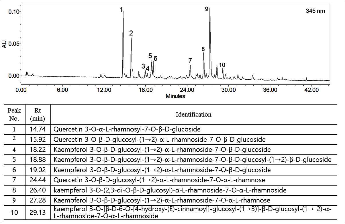 고사리삼 70% 에탄올 추출물의 UPLC chromatogram 및 UPLC-ESI-MS 분석 결과