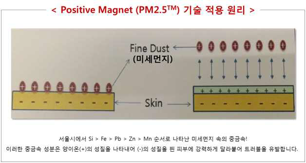 PM 2.5 기술 적용 원리