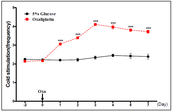 Mouse에서 옥살리플라틴(6mg/kg, i.p.) 단일 투여에 의한 냉 이질통의 발생 경과
