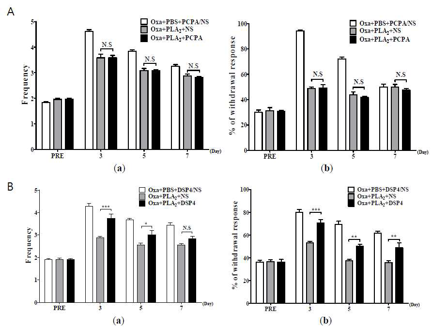 PCPA (A)와 DSP-4 (B) 전처치의 옥살리플라틴 냉(a), 기계적(b) 이질통에 대한 PLA2의 진통효과 차단 효과