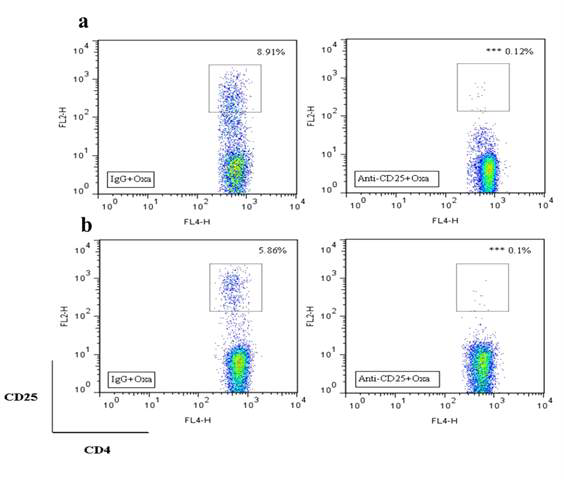 anti-CD25 항체(우) 또는 대조군으로 IgG(좌)를 투여한 마우스의 비장(a), 림프절(b) 조직에서 측정한 조절 T 세포 양