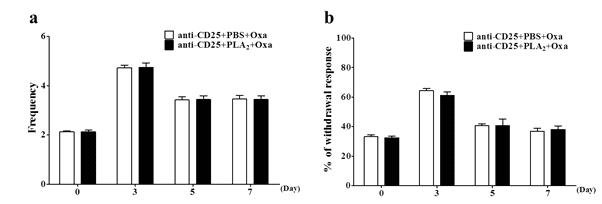조절 T 세포를 depletion한 마우스에서 옥살리플라틴 신경병증성 통증에 대한 PLA2 전처치의 효과