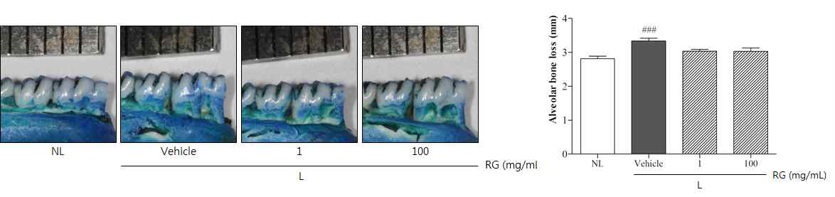 Morphological photographs of methylene blue staining and alveolar bone loss scores.