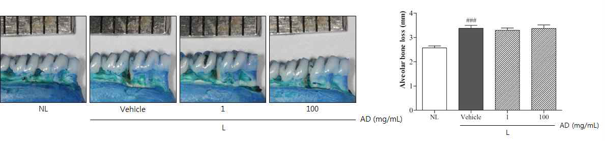 Morphological photographs of methylene blue staining and alveolar bone loss scores