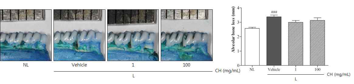 Morphological photographs of methylene blue staining and alveolar bone loss scores.