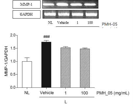 Effect of topical PMH-05 treatment on expression of MMP-1 gene