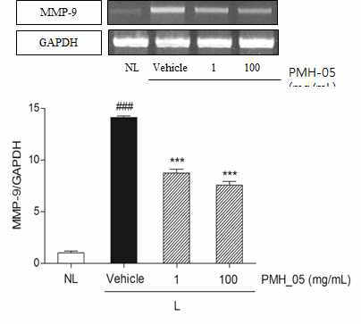 Effect of topical PMH-05 treatment on expression of MMP-1 gene