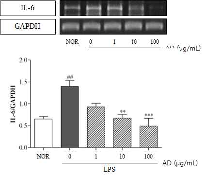 Effect of topical AD treatment on expression of IL-6 gene