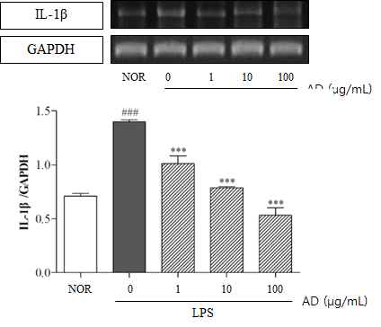 Effect of topical AD treatment on expression of IL-1β gene