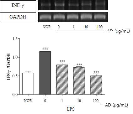 Effect of topical AD treatment on expression of INF-γ gene