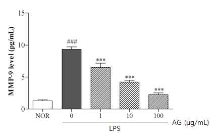 Effect of AG treatment on LPS-induced MMP-9 secretion in HDF cells