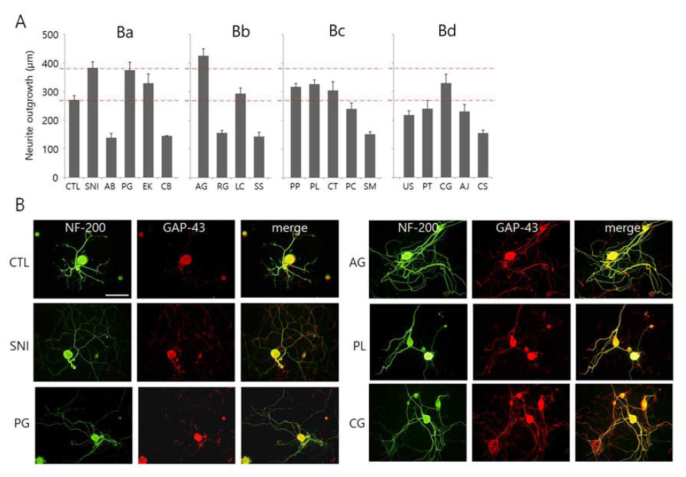 Comparison of neurite outgrowth in DRG neurons after the treatment of individual constituents of BGJTD. Herbal drugs (0.5 mg/ml) were treated to DRG neurons for 48hr and harvested for immunofluorescence staining for NF-200 (green) and GAP-43 (red) signals