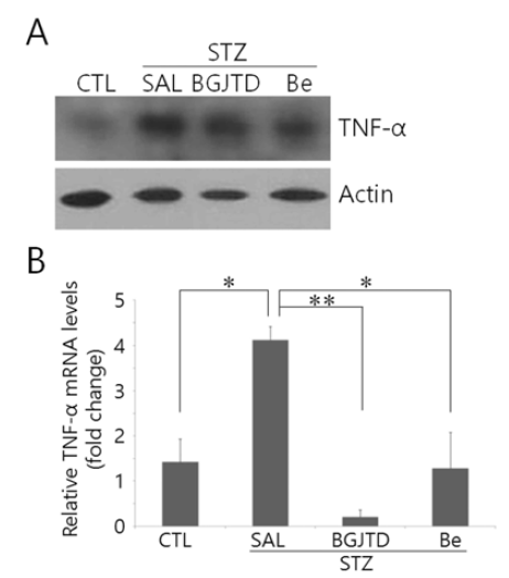 Comparison of TNF-α levels in the sciatic nerves of STZ-diabetic animals after different treatments. (CTL; untreated control, SAL; saline injection). Animals were treated with herbal decoctions for 2 weeks after 1 week of STZ injection