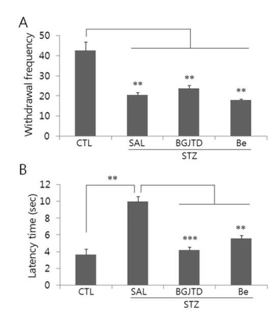 Effects of BGJTD and Be decoction on the heat sensitivity. STZ-induced diabetic mice were orally administered BGJTD and Be for 2 weeks, and were subjected to the measurement of the lifting frequency of the hind paws (A) and the latency period after placing on the hot plate (B). Error bars in (A) denote SEM.
