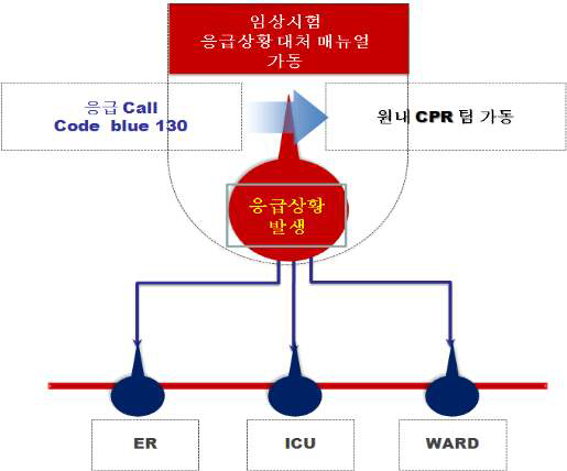 임상시험 시험대상자 응급 상황 대처 체계도