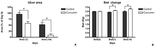 Curcumin 처리에 따른 궤양 조직 면적과 동물의 몸무게 회복에 관한 결과