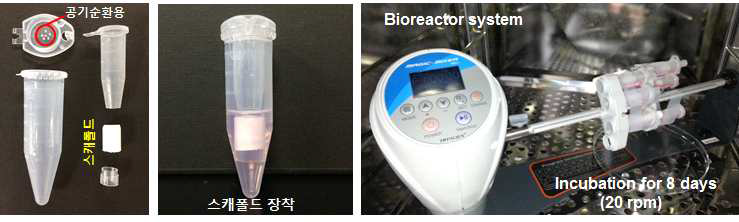 Bioreactor system의 요소 장치 및 iPS-MSC-chondrocyte의 배양