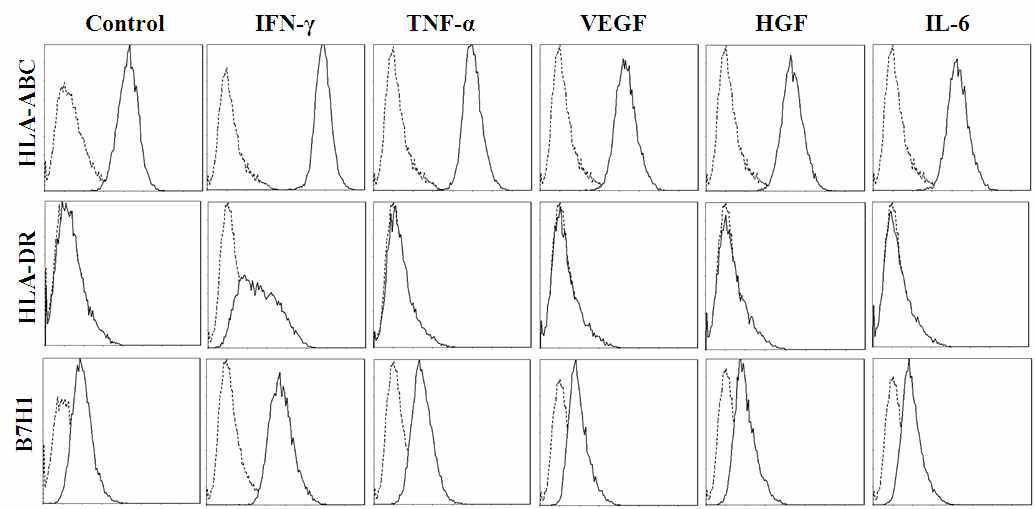 간 줄기세포(HLSC)에서 발현되는 면역 관련 항원의 간 손상시 분비되는 Cytokine(IFN-r, TNF-a, VEGF, HGF, IL-6) 처리에 따른 발현 변화