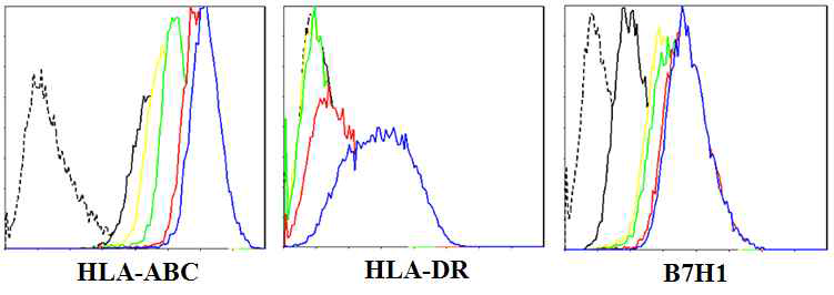 IFN-r(1000U/ml) 처리 후 시간에 따른 간 줄기세포(HLSC)의 HLA-ABC, HLA-DR, B7H1의 발현 변화. Dotted line-IgG, Black-none, Yellow-12시간, Green-24시간, Red-48시간, Blue-72hr