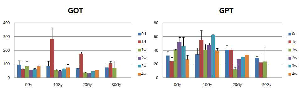 방사선 조사량에 따른 간 기능 (GOT, GPT)의 변화