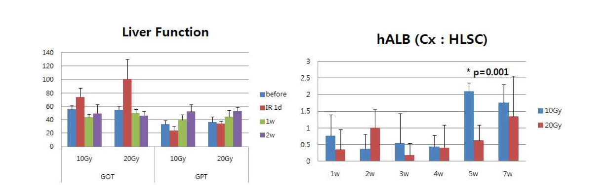 부분 간 방사선 조사 후 간 기능 측정 및 랫드 혈청에서의 human albumin 측정값