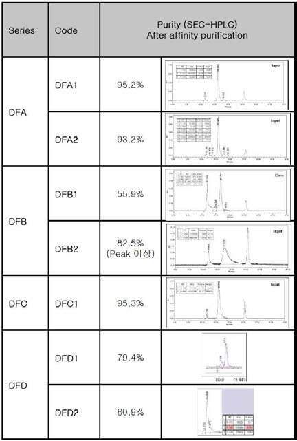 Protein A affinity chromatography 이후 순도 분석