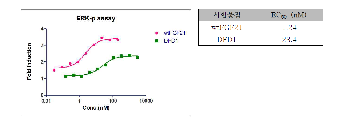 FGF21 활성 분석 결과 (DFD 구조)