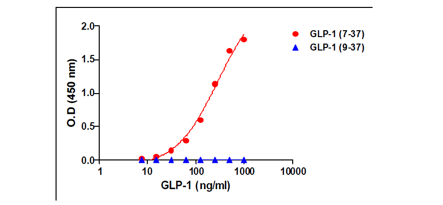 GLP-1의 N-말단 특이적 항체 확인 시험