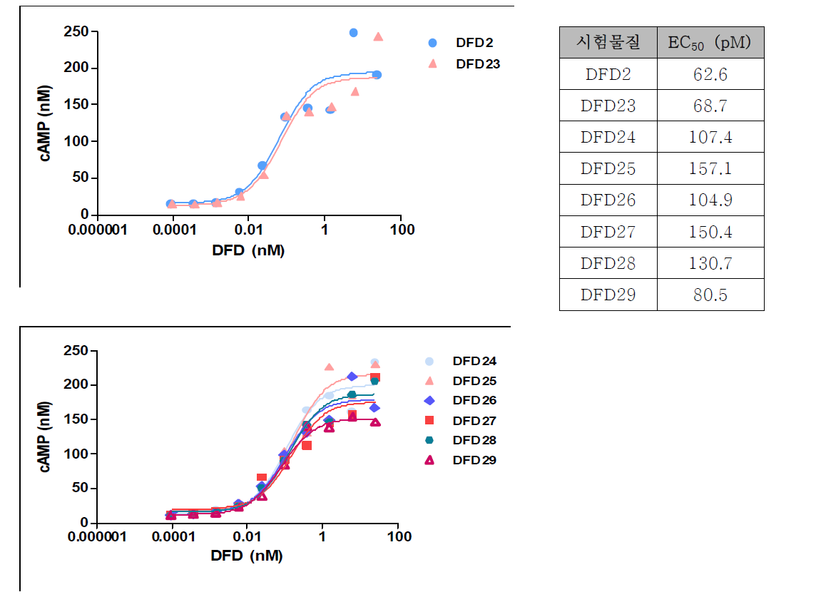 GLP1-Fc part에 대한 GLP-1 활성 분석 결과