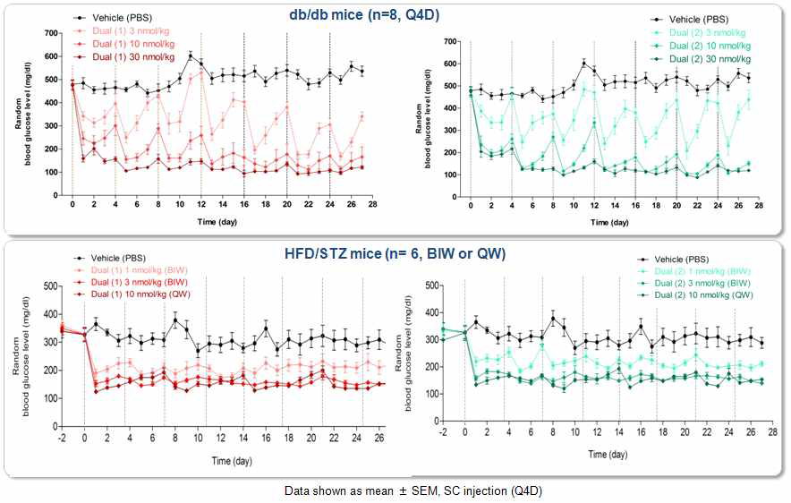 db/db, HFD/STZ 마우스 모델에서 용량 의존적 혈당강하 효과 확인