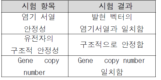 ISU304 세포주의 유전적 안정성 확인 결과