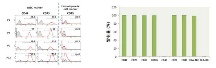 계대에 따른 표면인자 발현 양상(FACS) (좌) 및 표면 인자 발현율 (우)