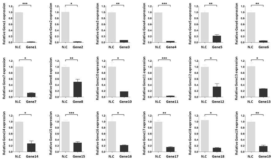 19개의 후보유전자의 발현저하 확인