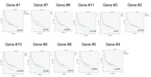 Cumulative disease free survival curve