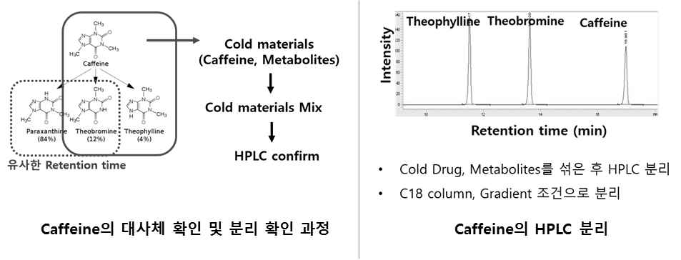 Caffeine과 대사체의 HPLC 분획과정 및 결과