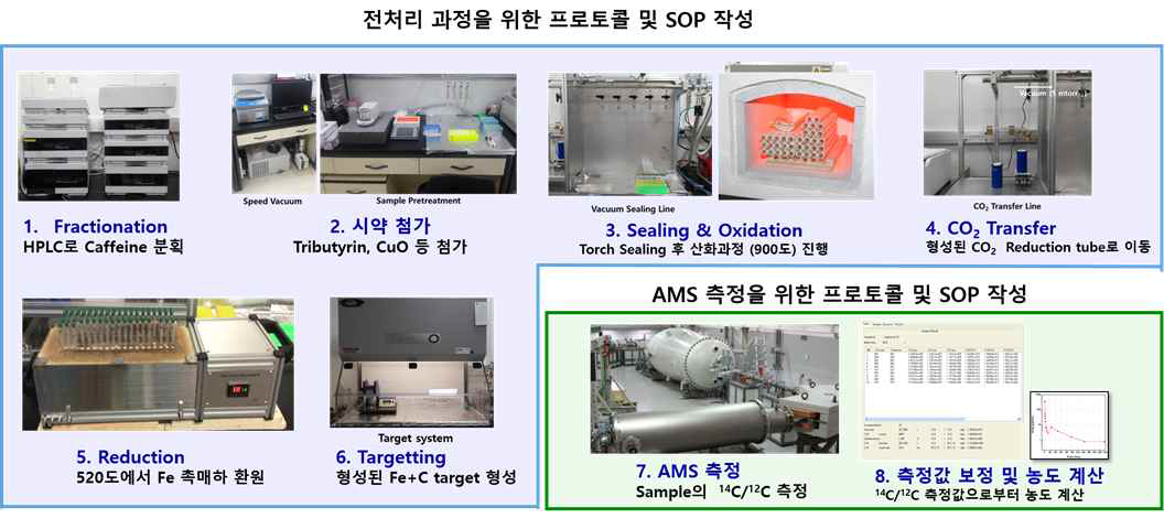 전처리 과정 및 AMS 측정을 위한 프로토콜 및 SOP 작성