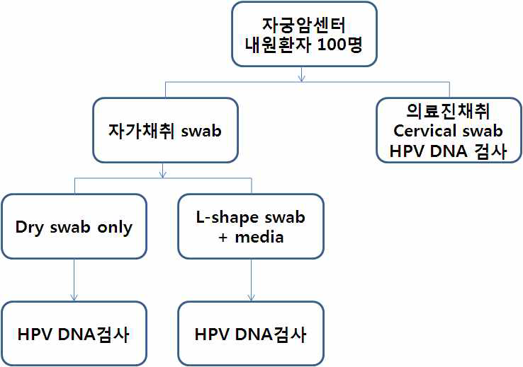 [보고서]의료접근성 향상을 위한 사용자 기반의 암검진 프로세스 개발