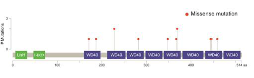 TBL1XR1의 돌연변이 발생 부위