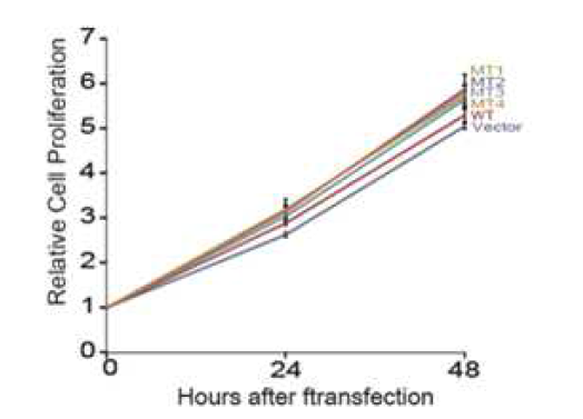 BJAB내에서 TBL1XR1의 발현에 따른 proliferation 비교