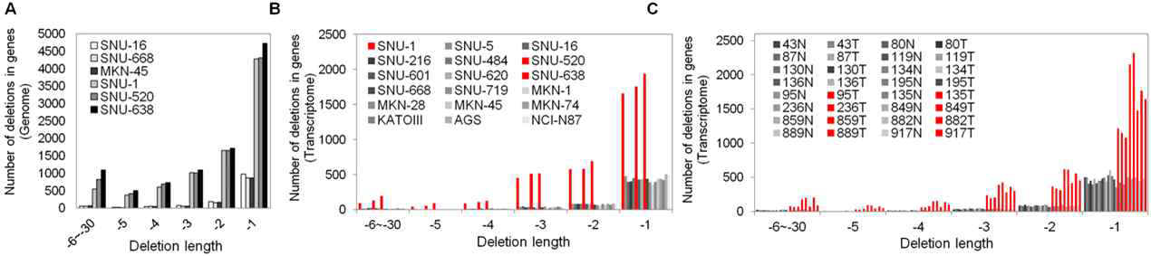 Whole genome sequencing과 RNA sequencing 분석을 통한 MSI의 결손 빈번도