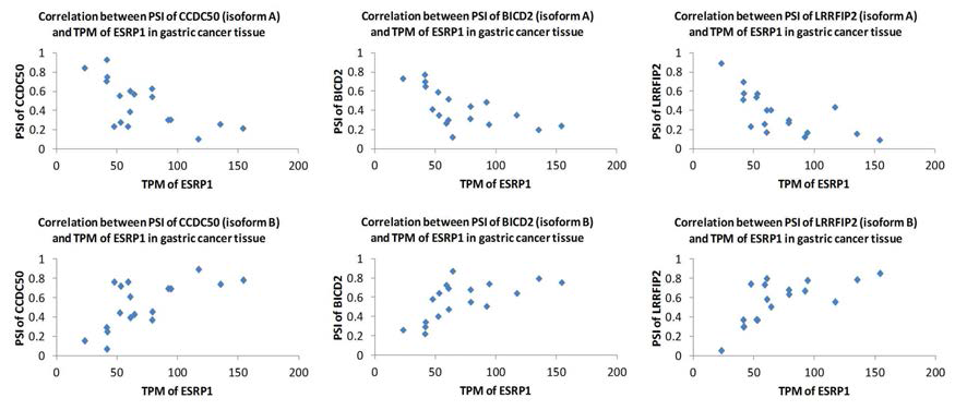 위암 조직에서 ESRP1 발현양과 ESRP1에 의해 switch가 일어나는 alternative splicing variant 발현양의 관계