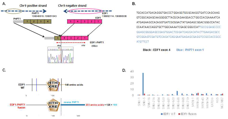 EDF1 유전자의 융합 분석