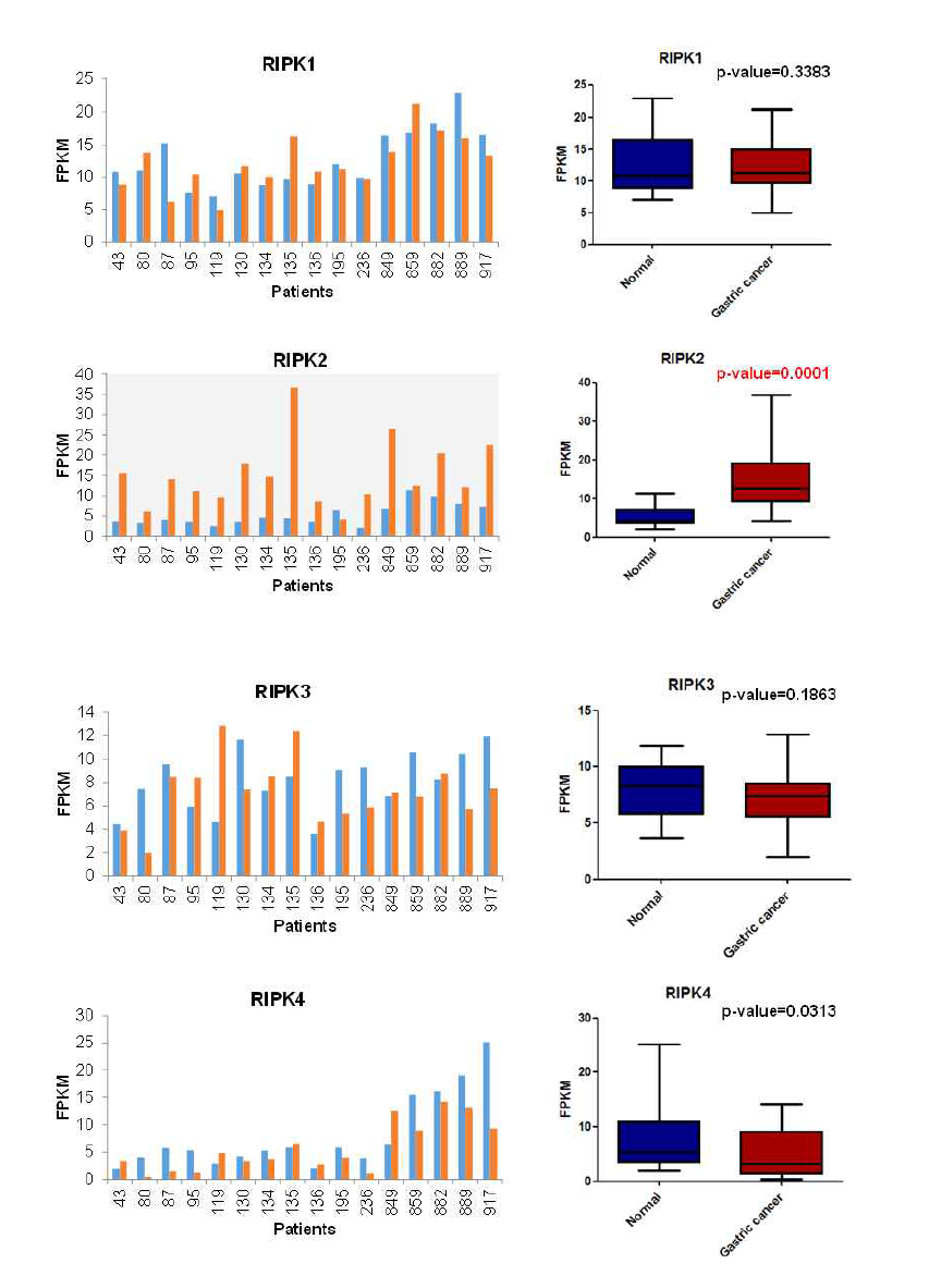 mRNA sequencing을 이용한 정상 조직과 위암 조직에서의 RIPK 유전자 발현량 비교 (파란색: 정상 조직, 빨간색: 위암 조직).